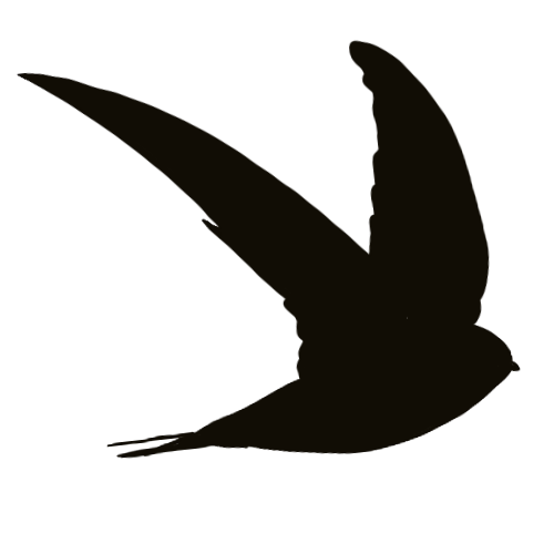 Swift Coffee Sourcing