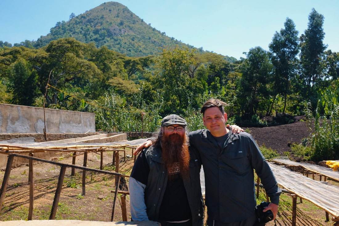 What's your novelty/nostalgia ratio?